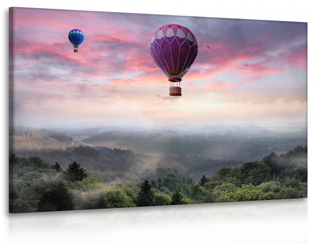 Obraz Balóny nad lesem Velikost (šířka x výška): 120x80 cm