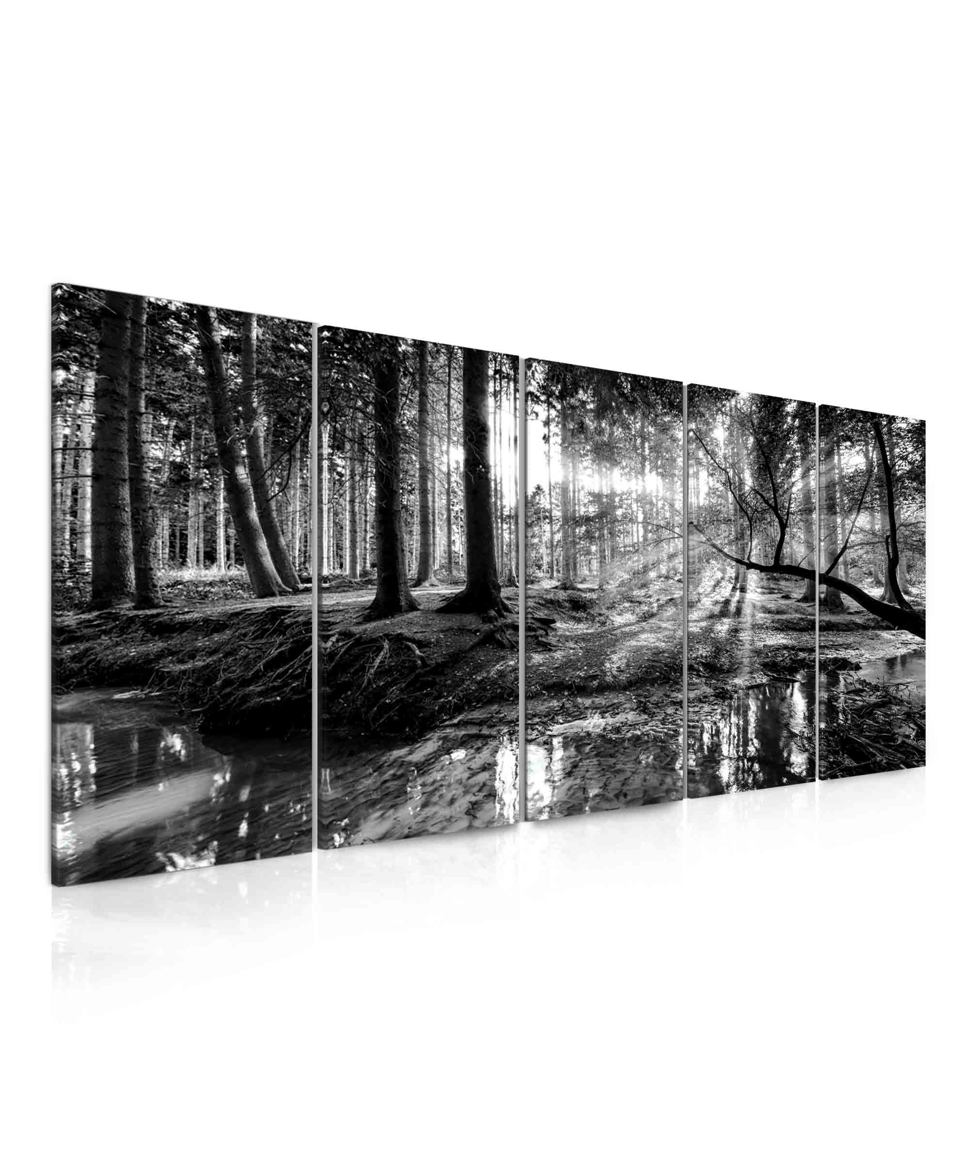 Obraz černobílá pohoda lesa Velikost: 200x90 cm
