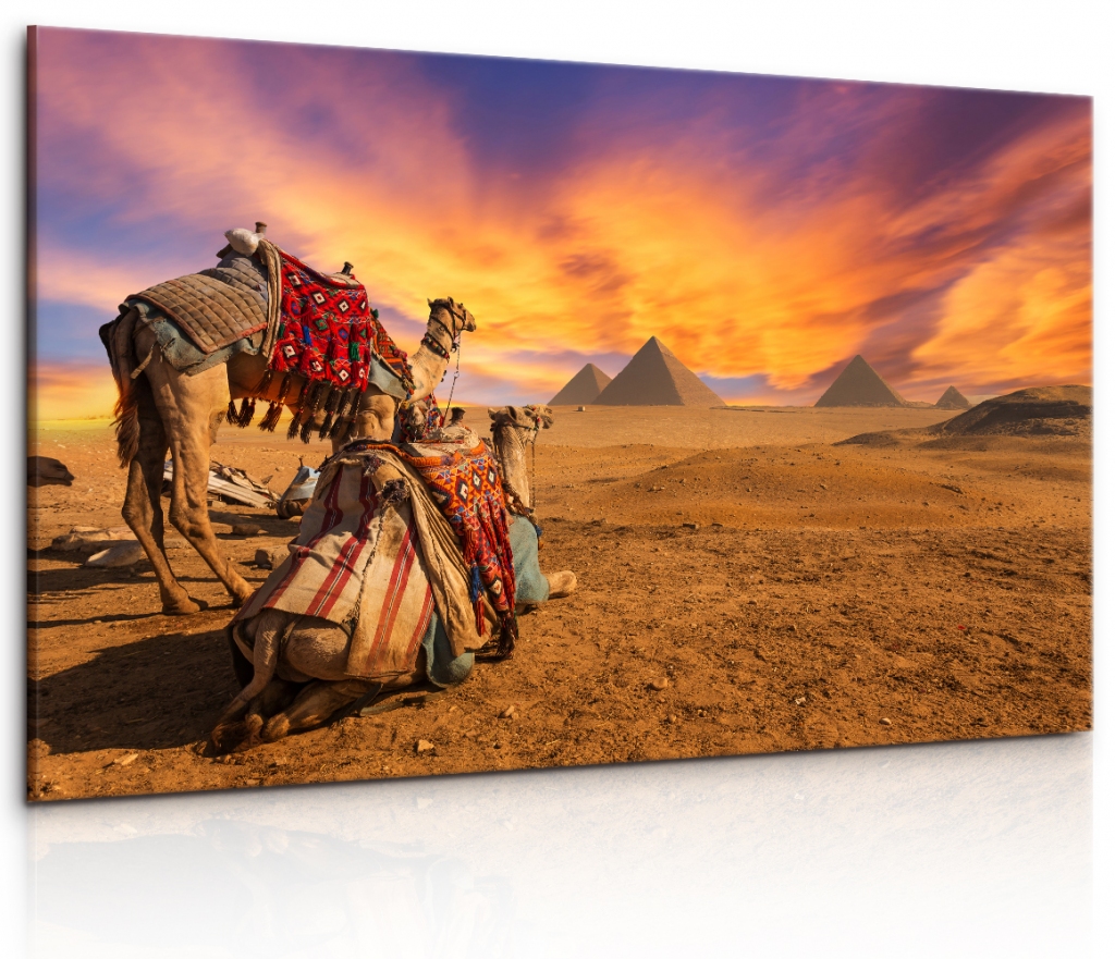 Obraz Egyptská sahara Velikost: 120x80 cm
