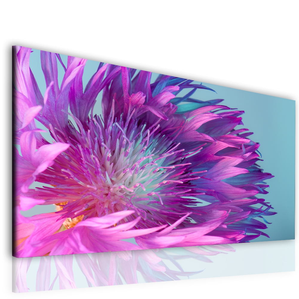 Obraz fialový květ Velikost: 90x60 cm
