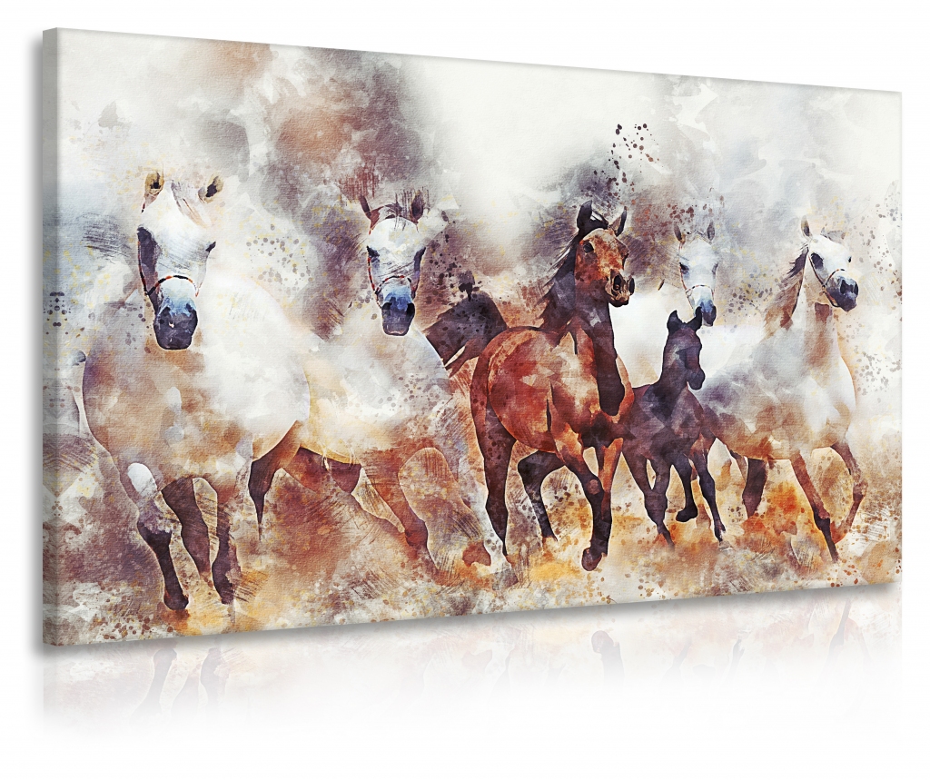 Obraz koně Velikost: 120x80 cm