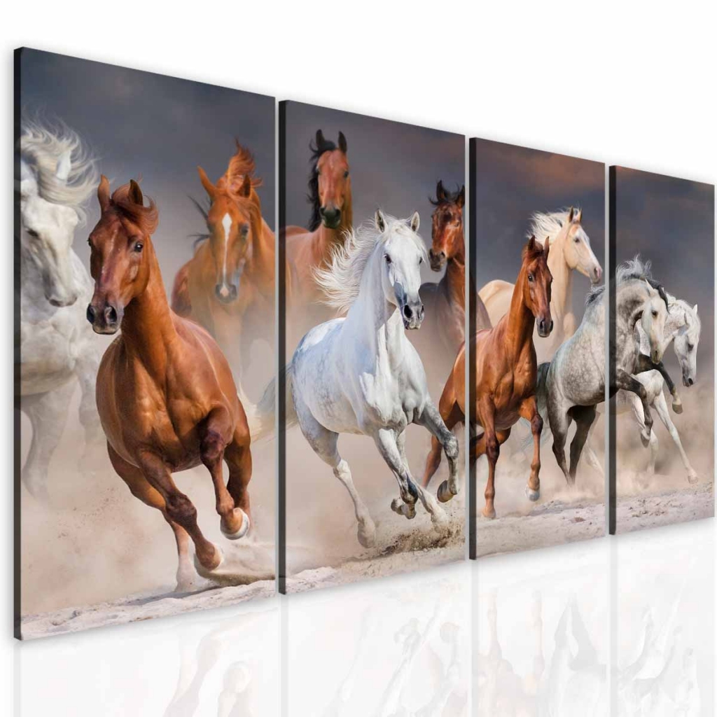 Obraz krása koní Velikost: 120x70 cm