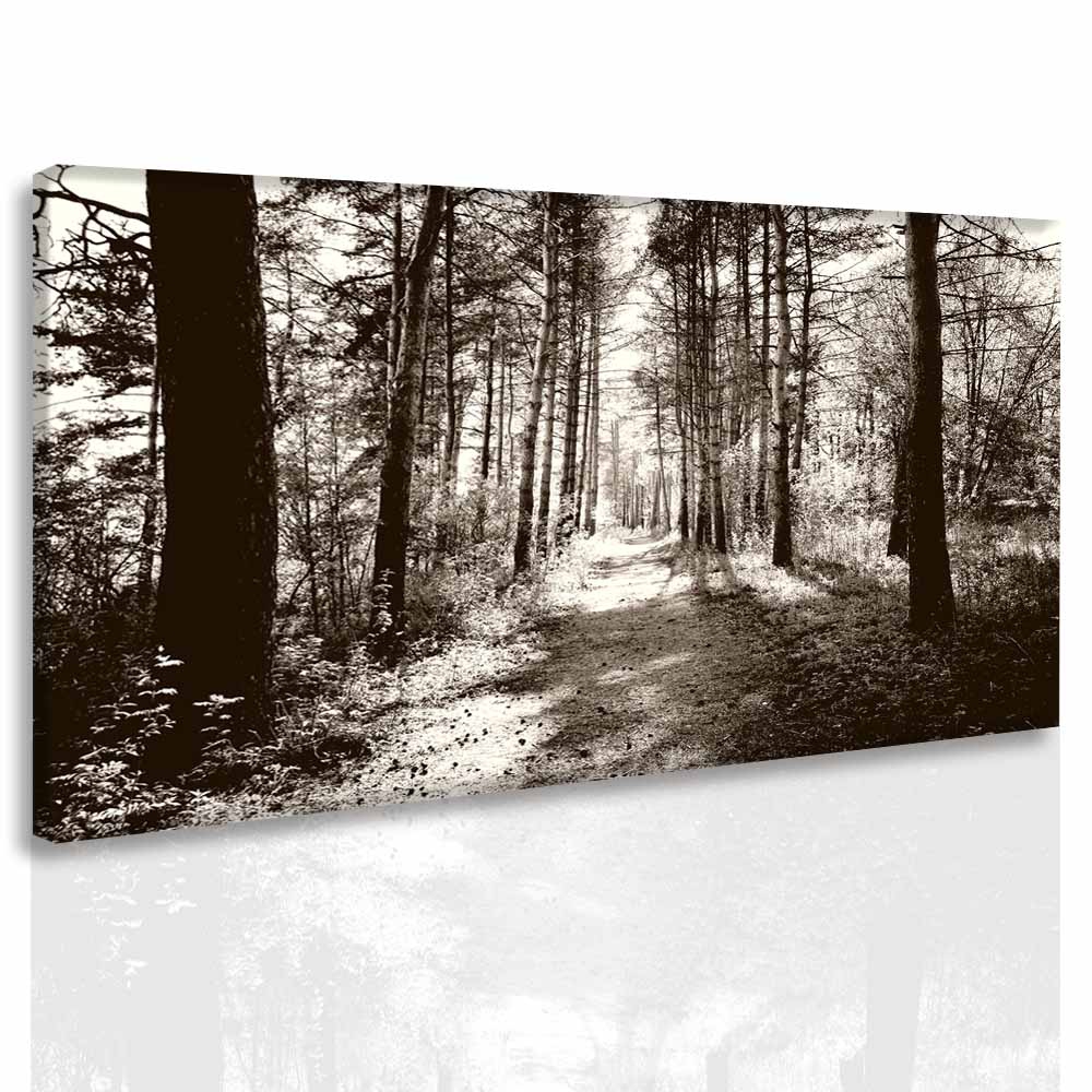 Obraz lesní pěšina Velikost: 90x60 cm