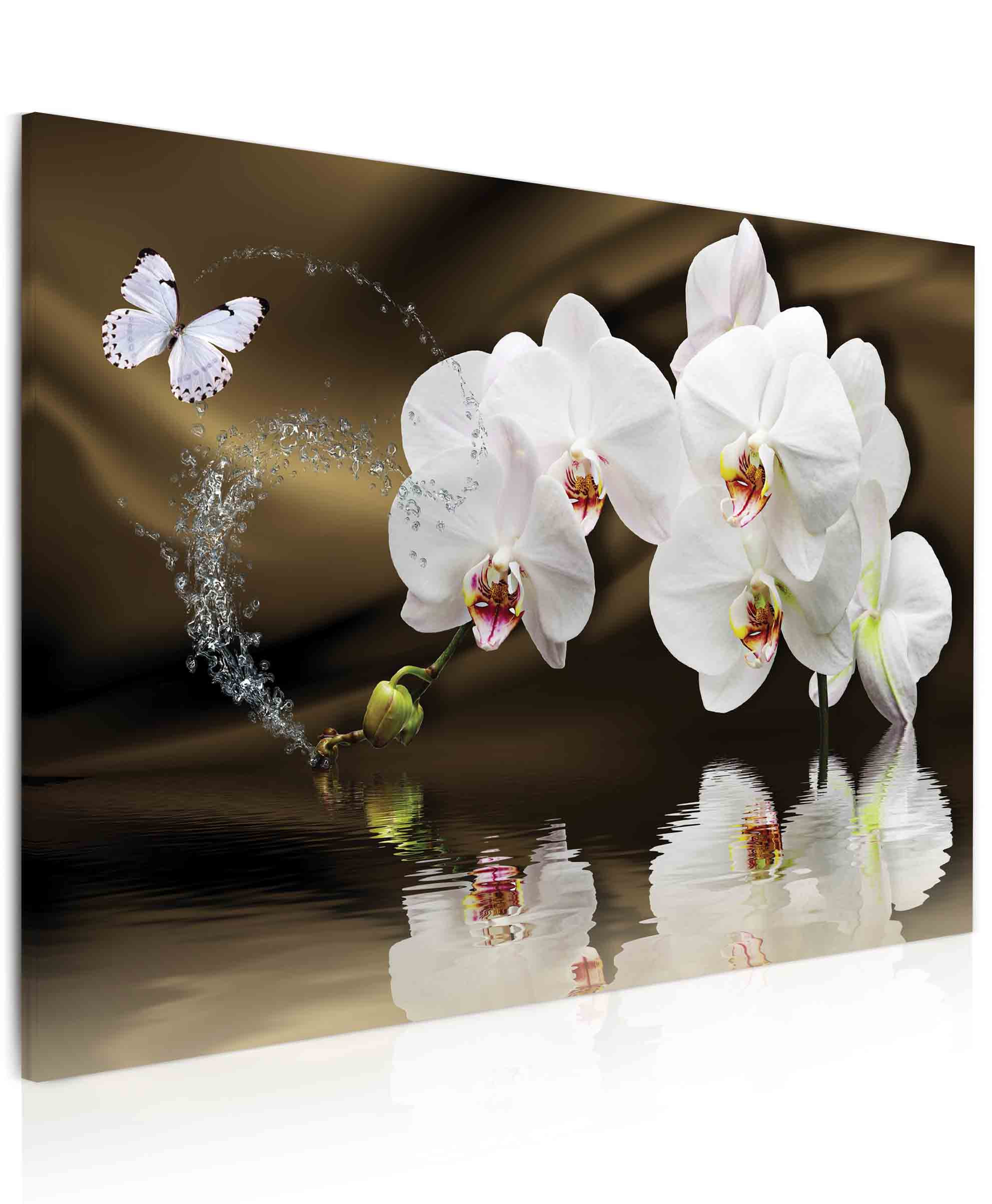 Obraz Motýlí orchidej nad hladinou Velikost: 90x60 cm