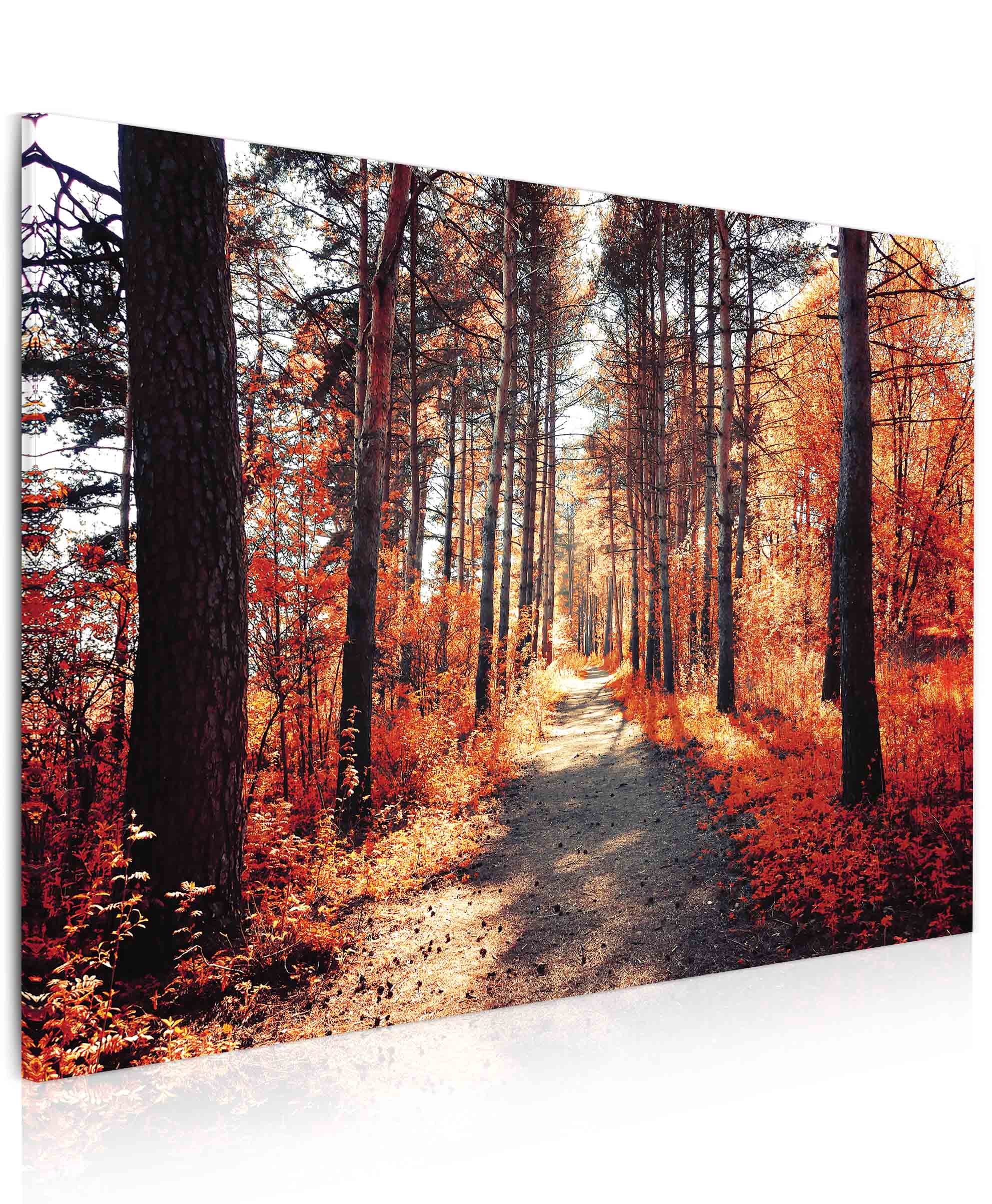 Obraz na plátně - podzimní procházka Velikost (šířka x výška): 90x60 cm