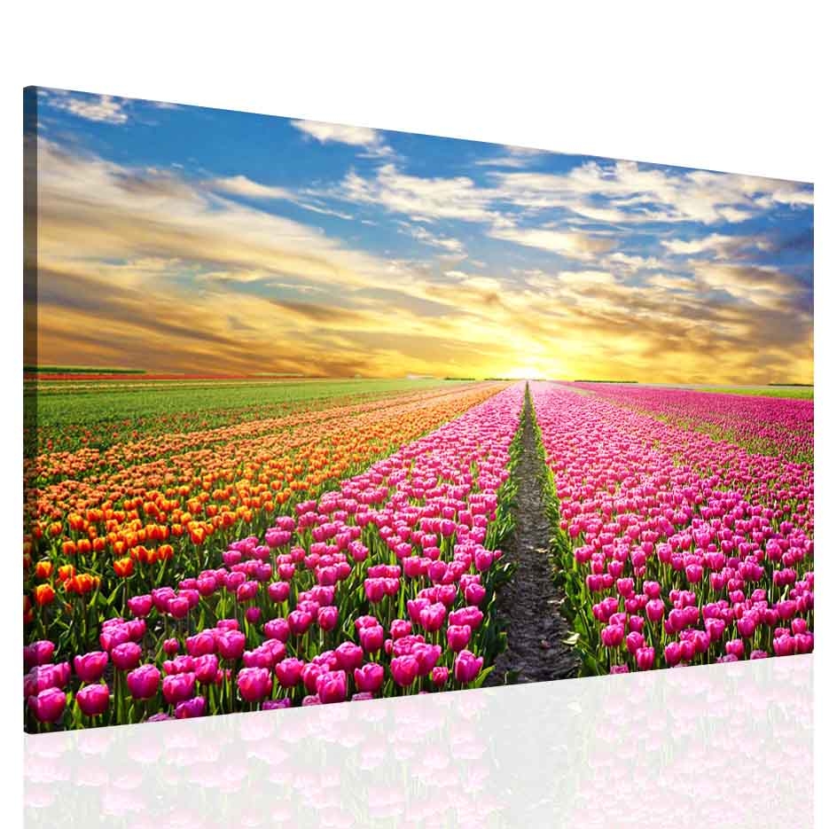 Obraz na stěnu - barevné tulipány Velikost: 90x60 cm