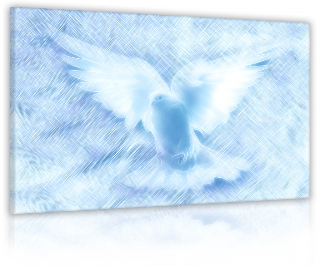 Obraz Nebeská holubice Velikost (šířka x výška): 60x40 cm