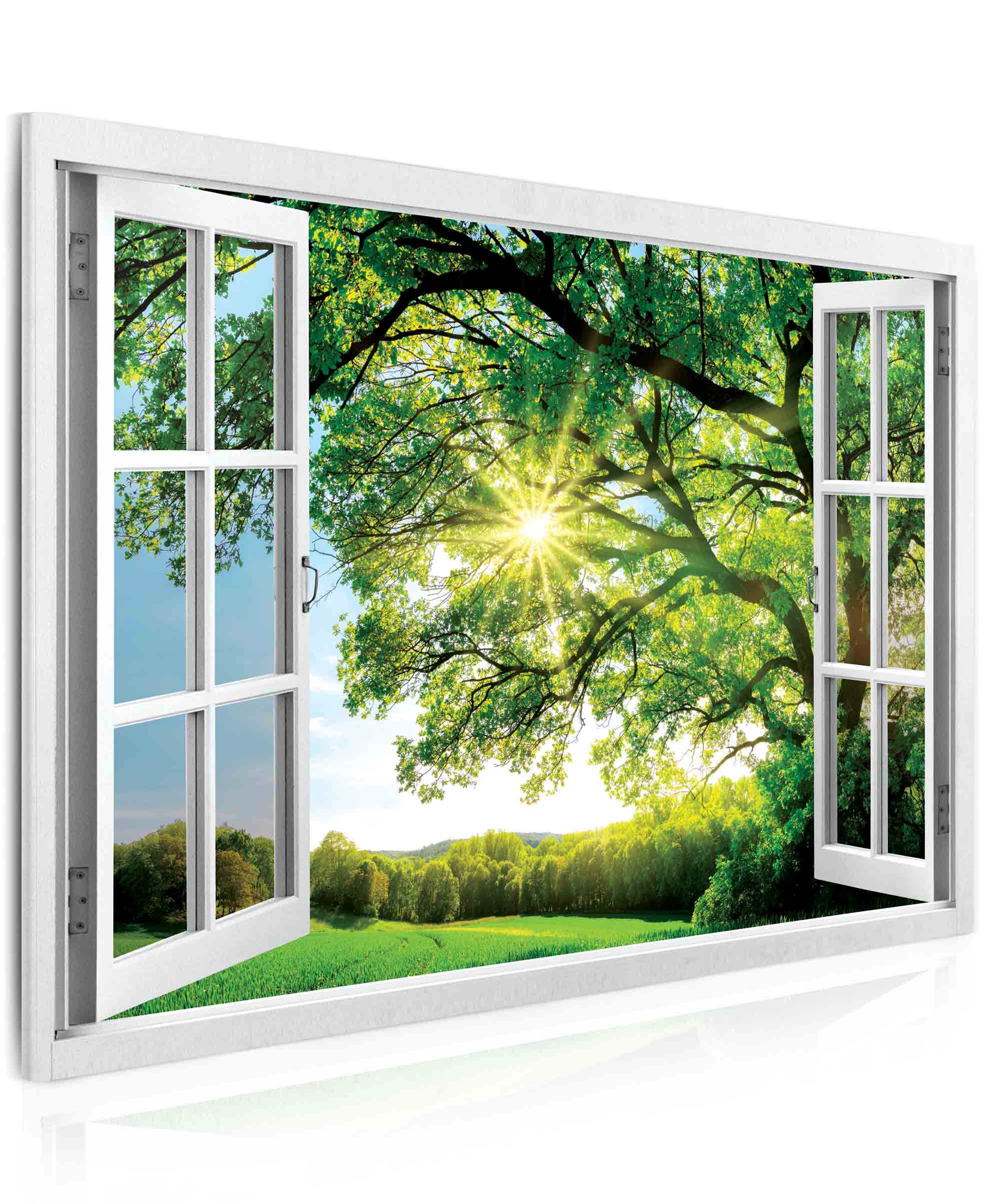 Obraz okno obrovský strom Velikost (šířka x výška): 60x40 cm