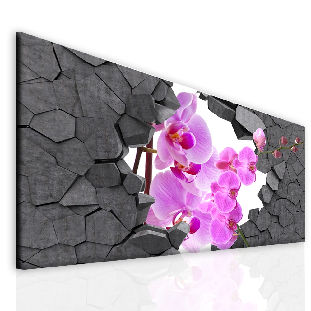 Obraz orchidej ve zdi Velikost: 100x50 cm