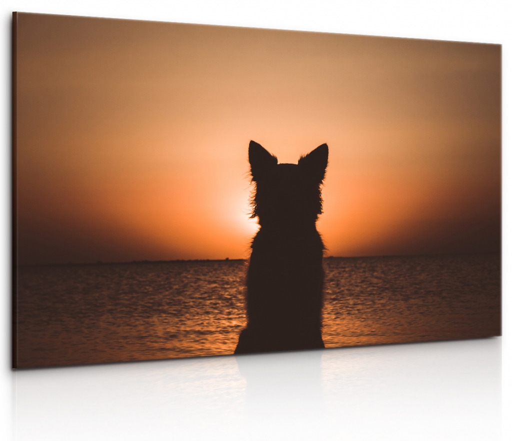 Obraz Pes u západu slunce Velikost: 120x80 cm