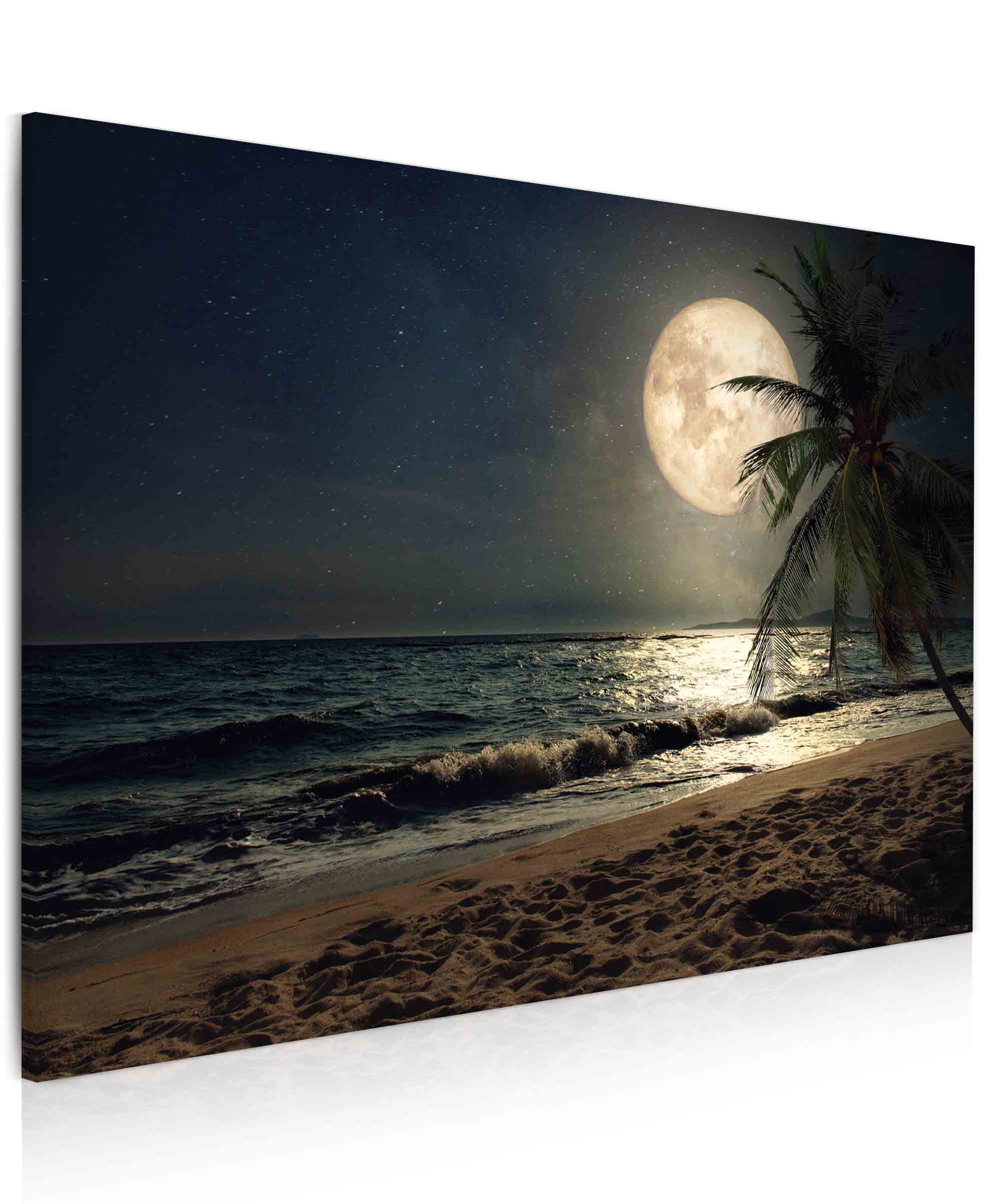 Obraz Pláž s palmou při měsíci Velikost: 120x80 cm