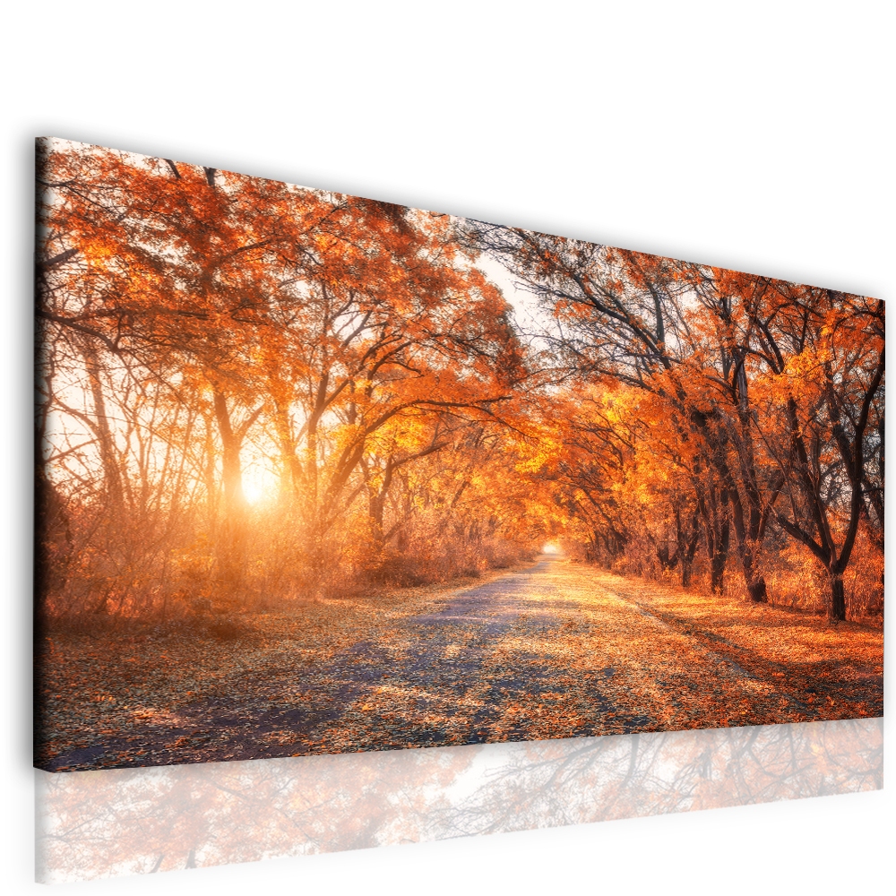 Obraz podzim v aleji Velikost: 120x80 cm