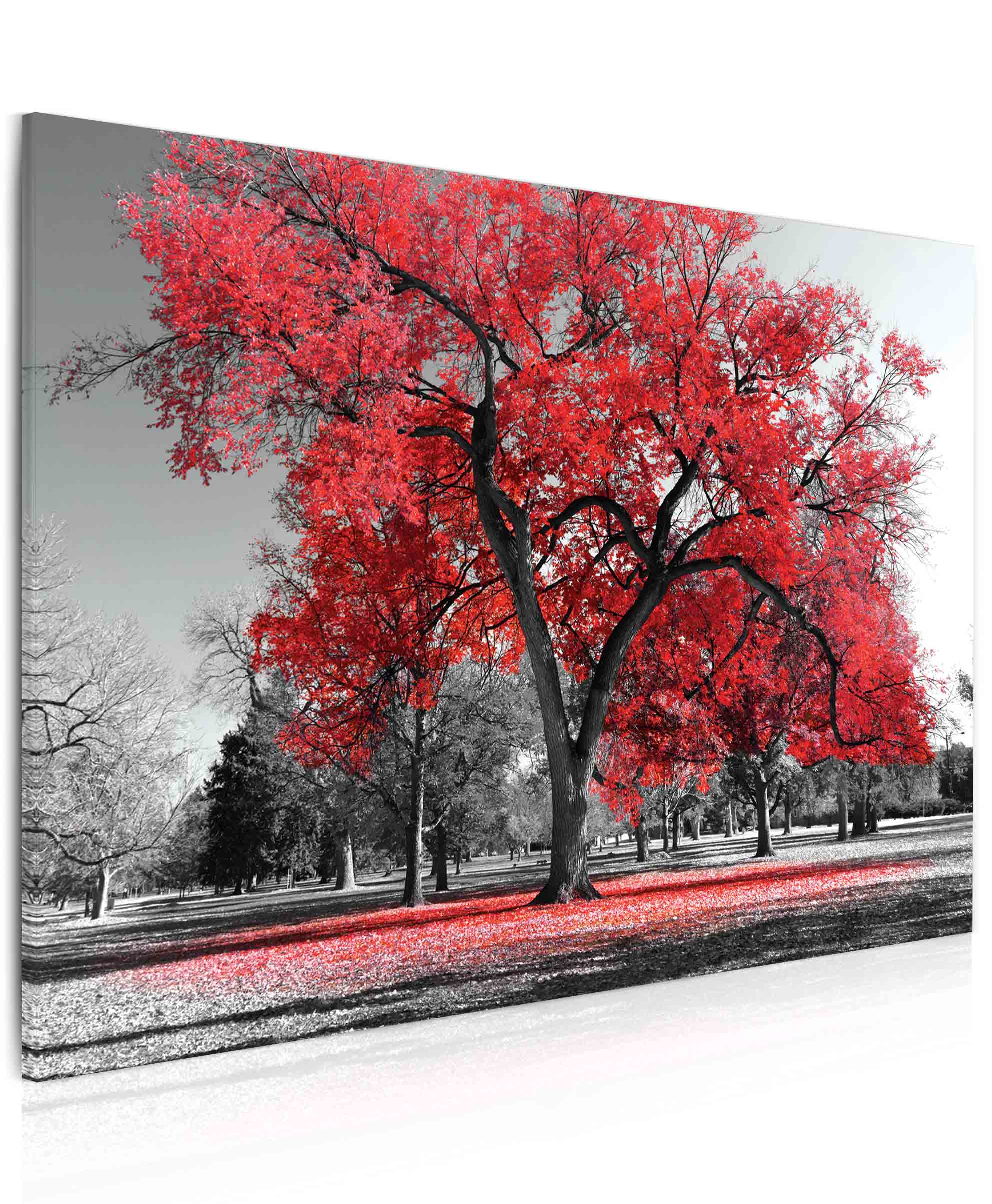 Obraz podzim v parku - červený Velikost (šířka x výška): 60x40 cm