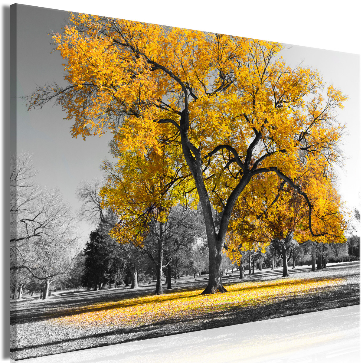 Obraz podzim v parku - žlutý Velikost (šířka x výška): 120x80 cm