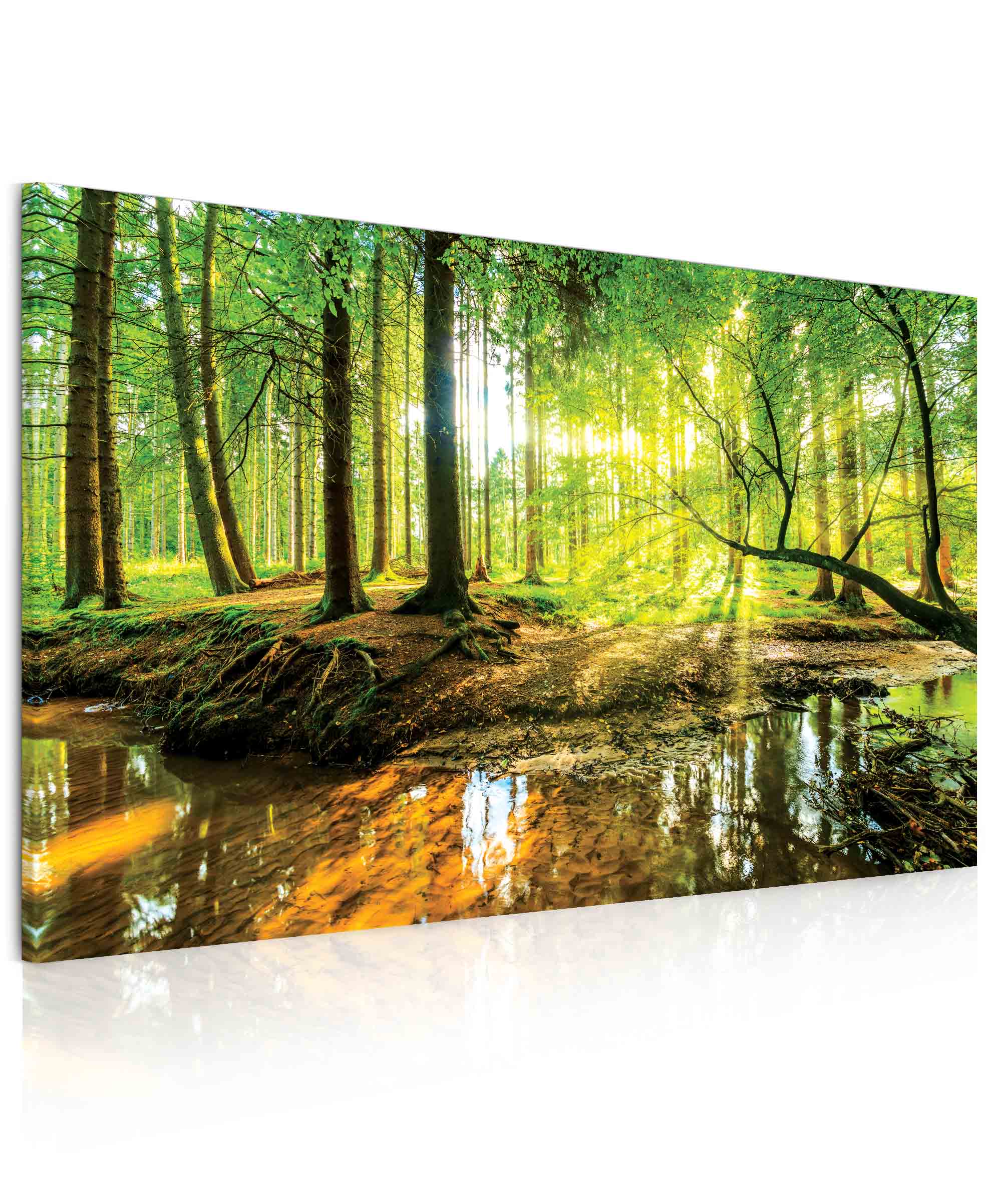 Obraz pohoda v lese Velikost: 150x100 cm