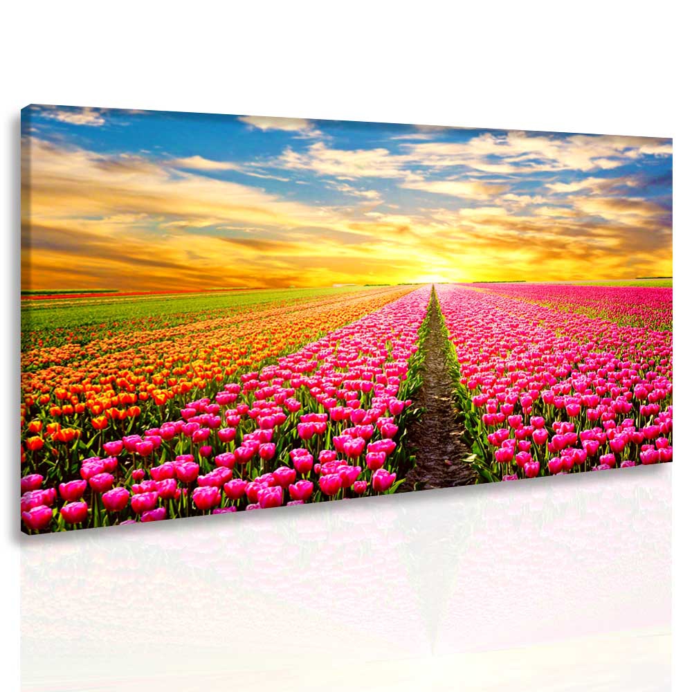 Obraz ráj tulipánů Velikost: 150x100 cm