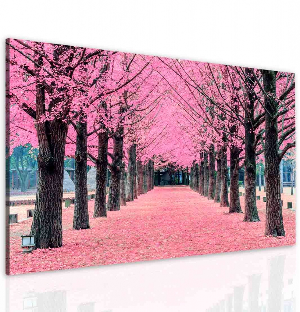Obraz růžová alej Velikost: 120x80 cm