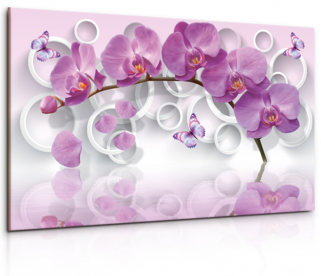 Obraz Růžová motýlí orchidej Velikost: 120x80 cm