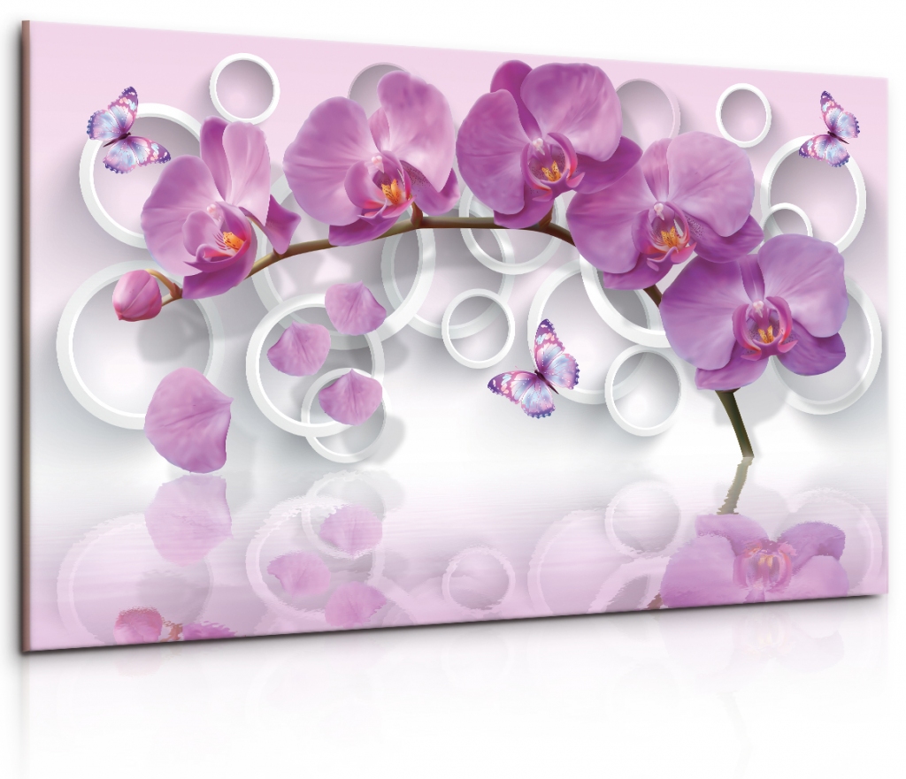 Obraz Růžová motýlí orchidej Velikost: 90x60 cm