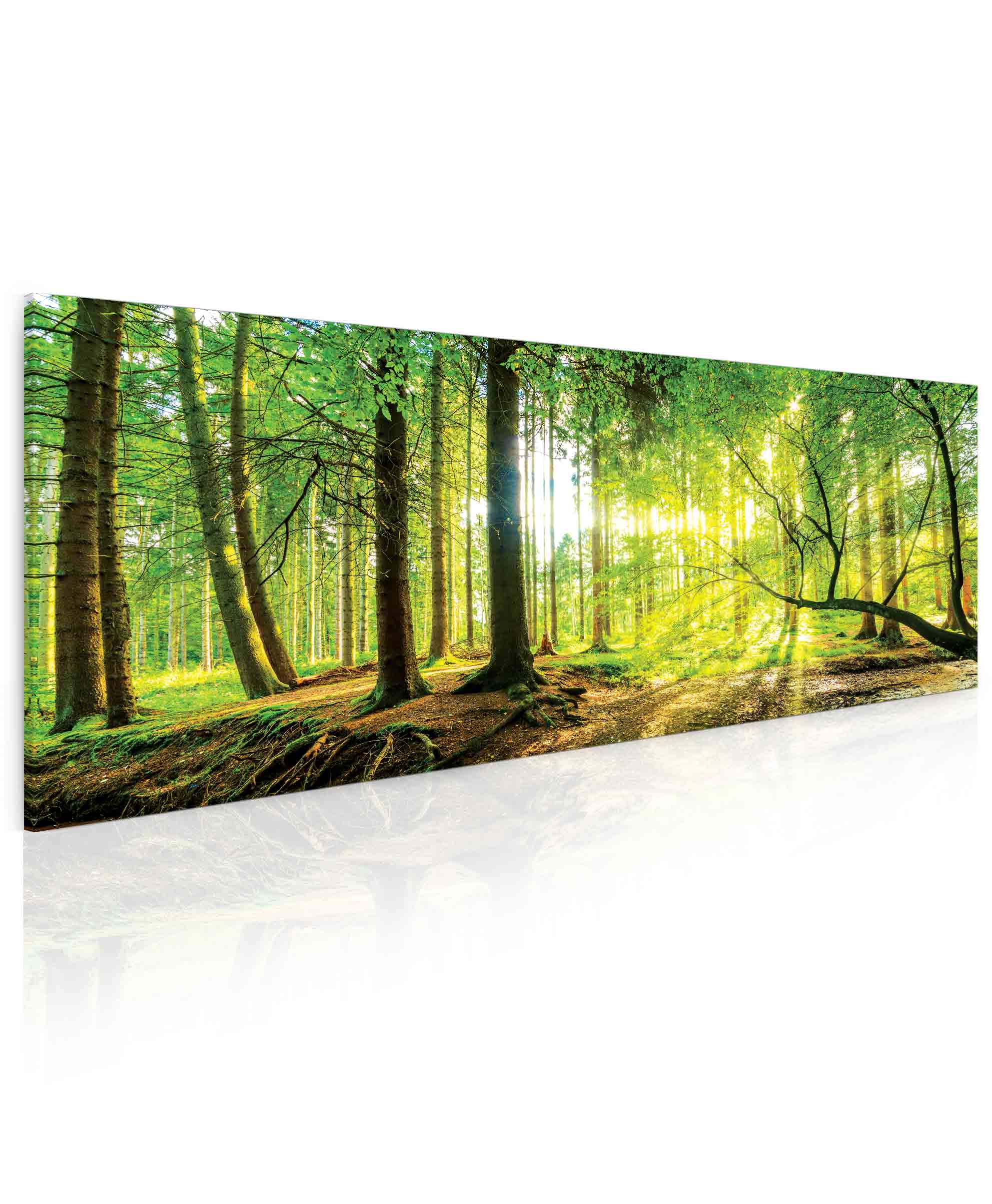 Obraz slunce v lese Velikost (šířka x výška): 180x80 cm