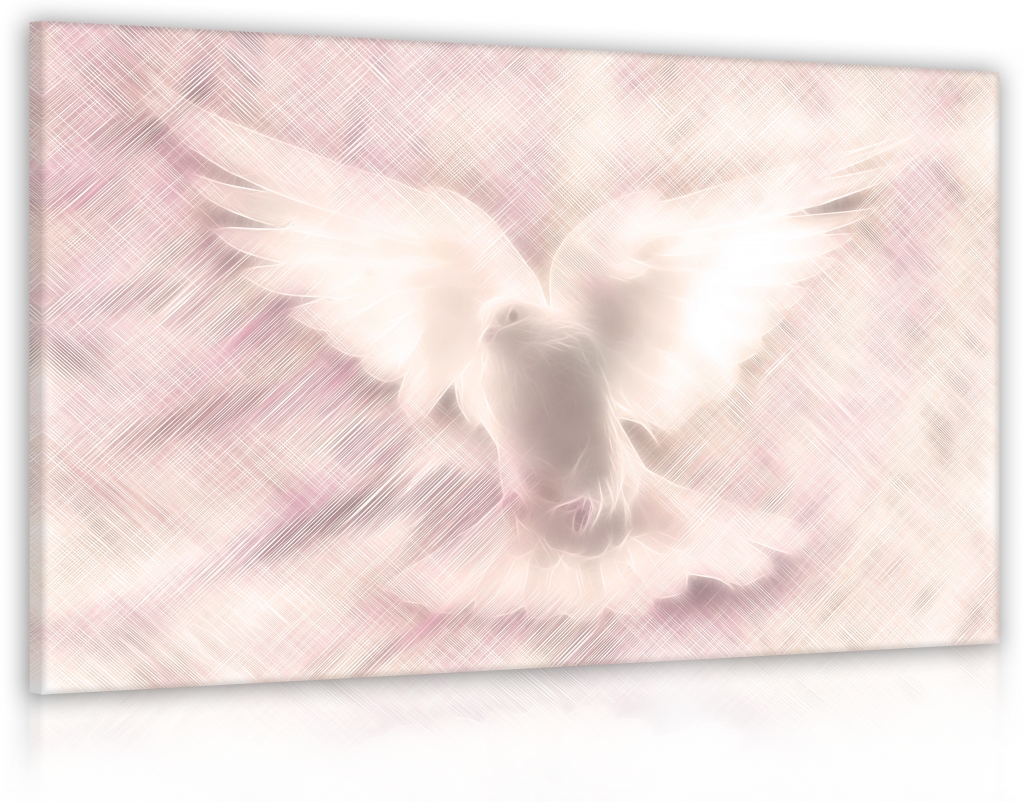 Obraz Snová holubice Velikost (šířka x výška): 75x50 cm