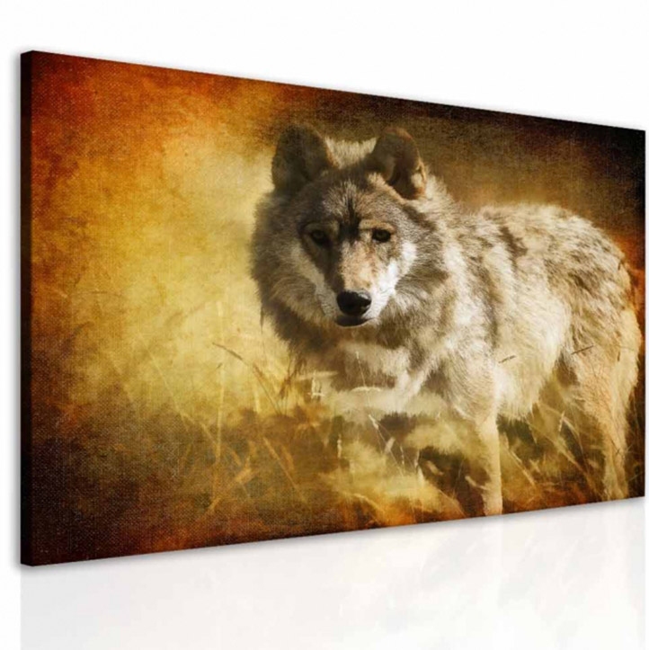 Obraz Snový vlk Velikost (šířka x výška): 25x20 cm