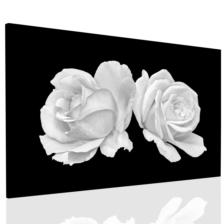 Obraz tajemná bílá růže Velikost: 60x40 cm
