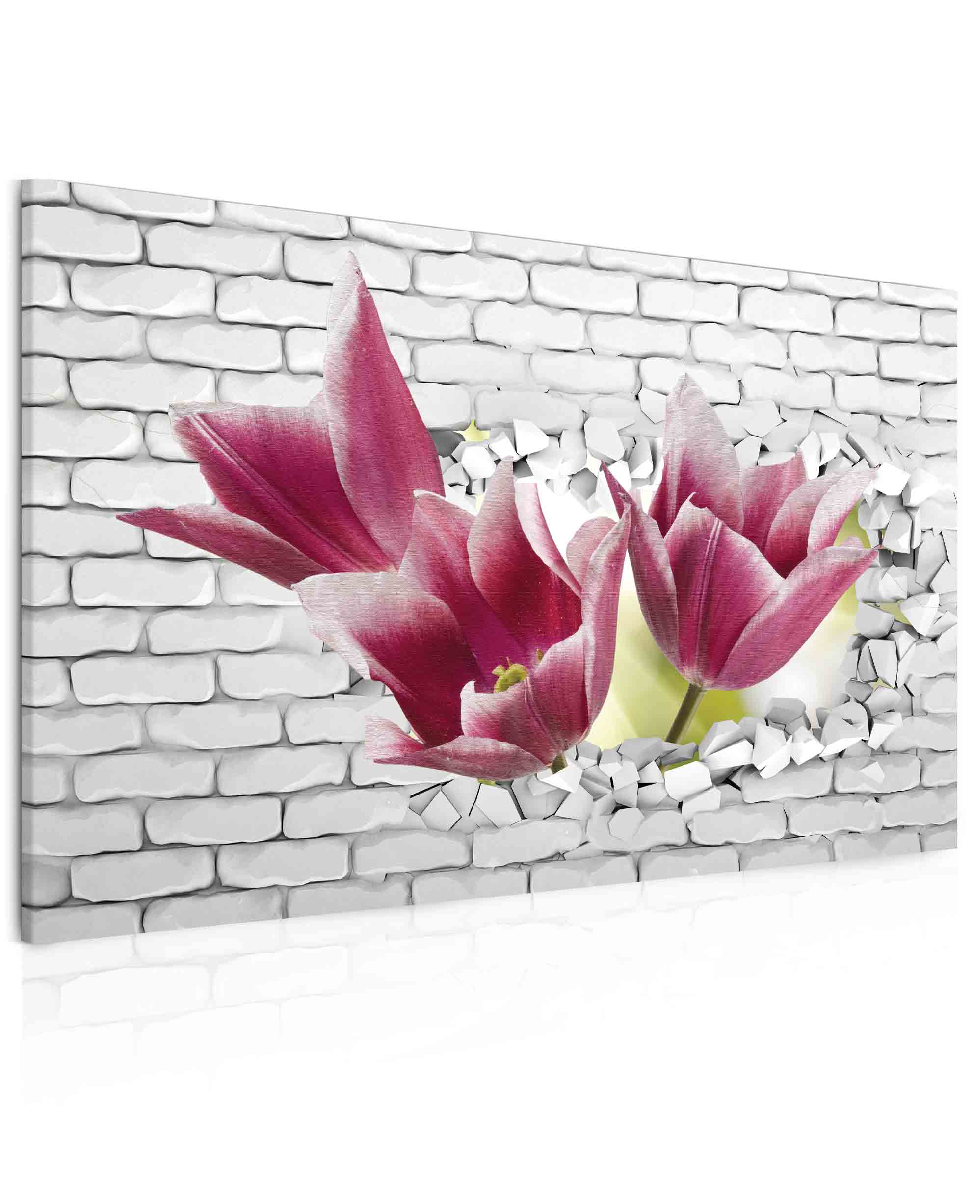Obraz tulipány ve zdi Velikost: 120x80 cm