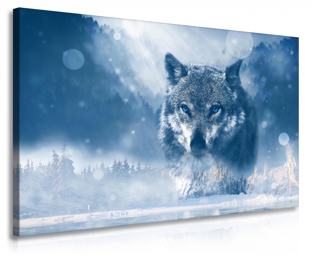 Obraz vlk v zimě Velikost (šířka x výška): 90x60 cm