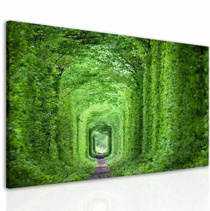 Obraz Zelený tunel Velikost (šířka x výška): 120x90 cm