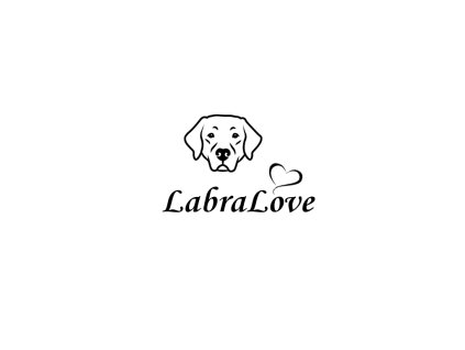 labralove hlava srdce