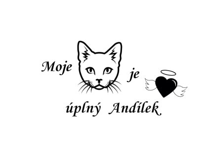 Moje kočka je anděl