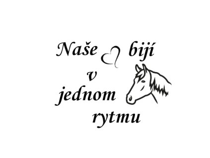 naše hlava srdce