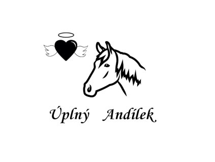 andílek hlava