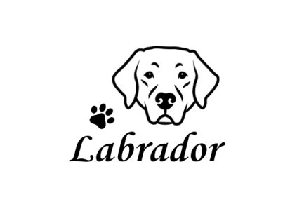 labrador hlava s packou