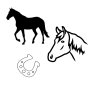 kůň motiv