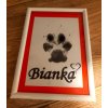 Bianka jméno