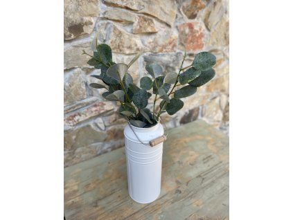 Eukalyptus
