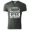 tmavá bridlica
