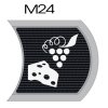 M24