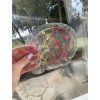Suncatcher Donut 1