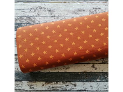 Teplákovina, hvězdy na karamelové, 056