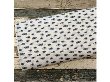 Plátno modré lahve