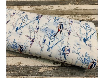 Teplákovina, datel v zimní krajině