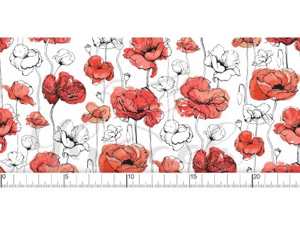 YH 2021 19 vod pravitko