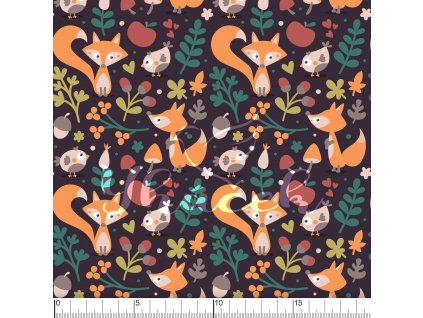 YH 2021 66 vod pravitko