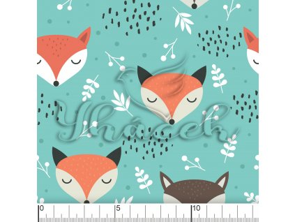 YH 2022 41 VOD pravitko