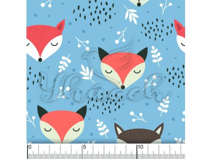 YH 2022 41 fialova vod pravítko