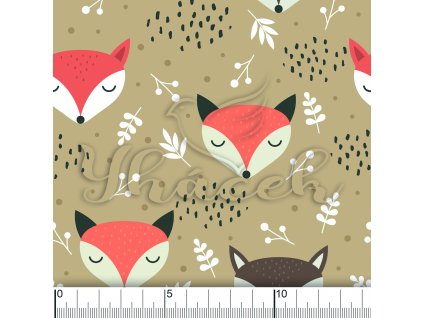 YH 2022 41 hnědá vod pravítko