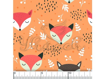 YH 2022 41 oranzova vod pravítko